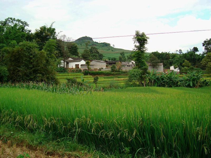 硝塘山村 硝塘山村