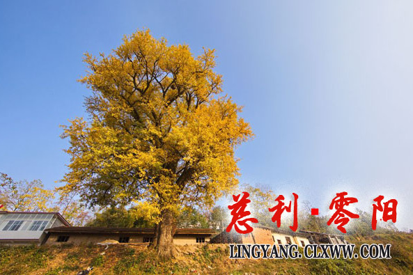 亮埡村(張家界市慈利縣零陽鎮下轄村) 亮埡村(張家界市慈利縣零陽鎮下轄村)