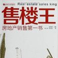 售樓王：房地產銷售第一書