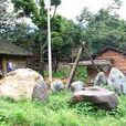 奇石村(安徽省靈璧縣漁溝鎮下轄村) 奇石村(安徽省靈璧縣漁溝鎮下轄村)