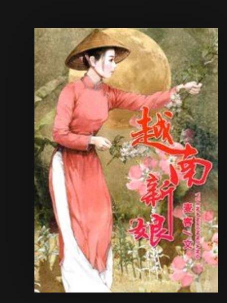 越南新娘(麥客所著網路小說) 越南新娘(麥客所著網路小說)