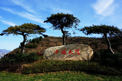 十堰大道 十堰大道
