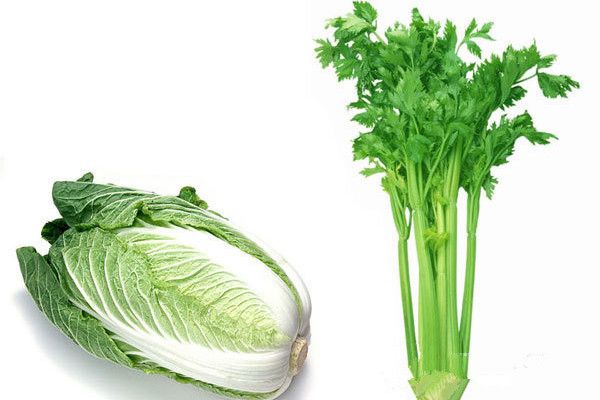 白菜芹菜 白菜芹菜