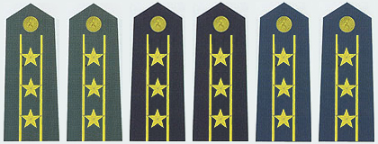 陸海空軍上校常服肩章(2007-)
