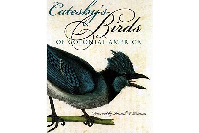 Birds of Colonial America Birds of Colonial America