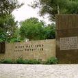 以色列猶太大屠殺紀念