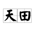 天田 天田