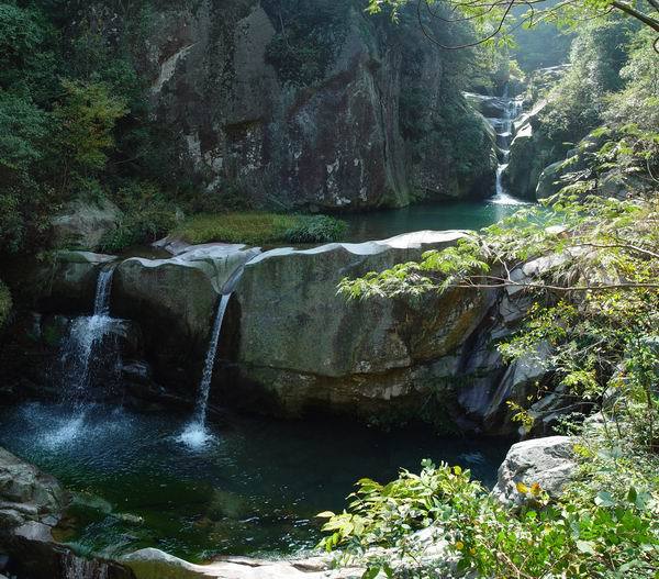 莊山村 莊山村