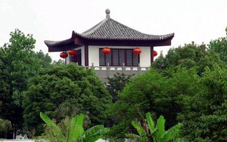 中國茶文化園風光