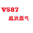 V587 V587