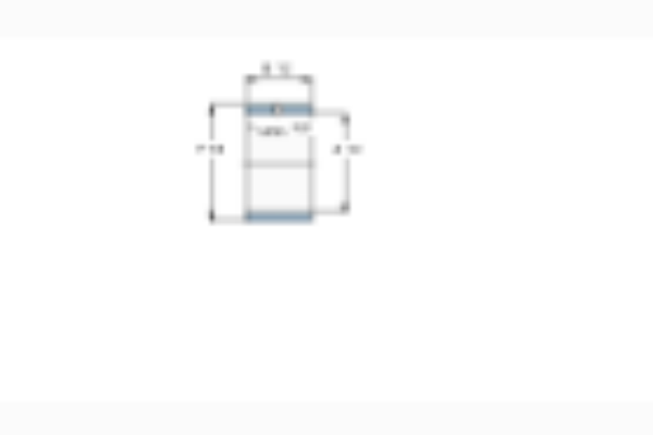 SKF IR12x16x12IS1軸承 SKF IR12x16x12IS1軸承
