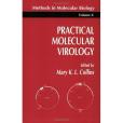 Practical Molecular Virology(Collins, Mary K. L.著圖書)