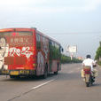 浙江325省道 浙江325省道
