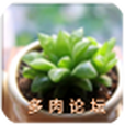 杭州多肉論壇 杭州多肉論壇