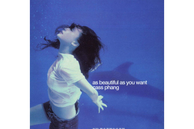 無人駕駛(2000年彭羚演唱的歌曲) 無人駕駛(2000年彭羚演唱的歌曲)