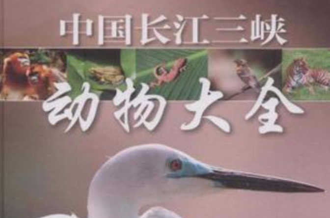 中國長江三峽動物大全
