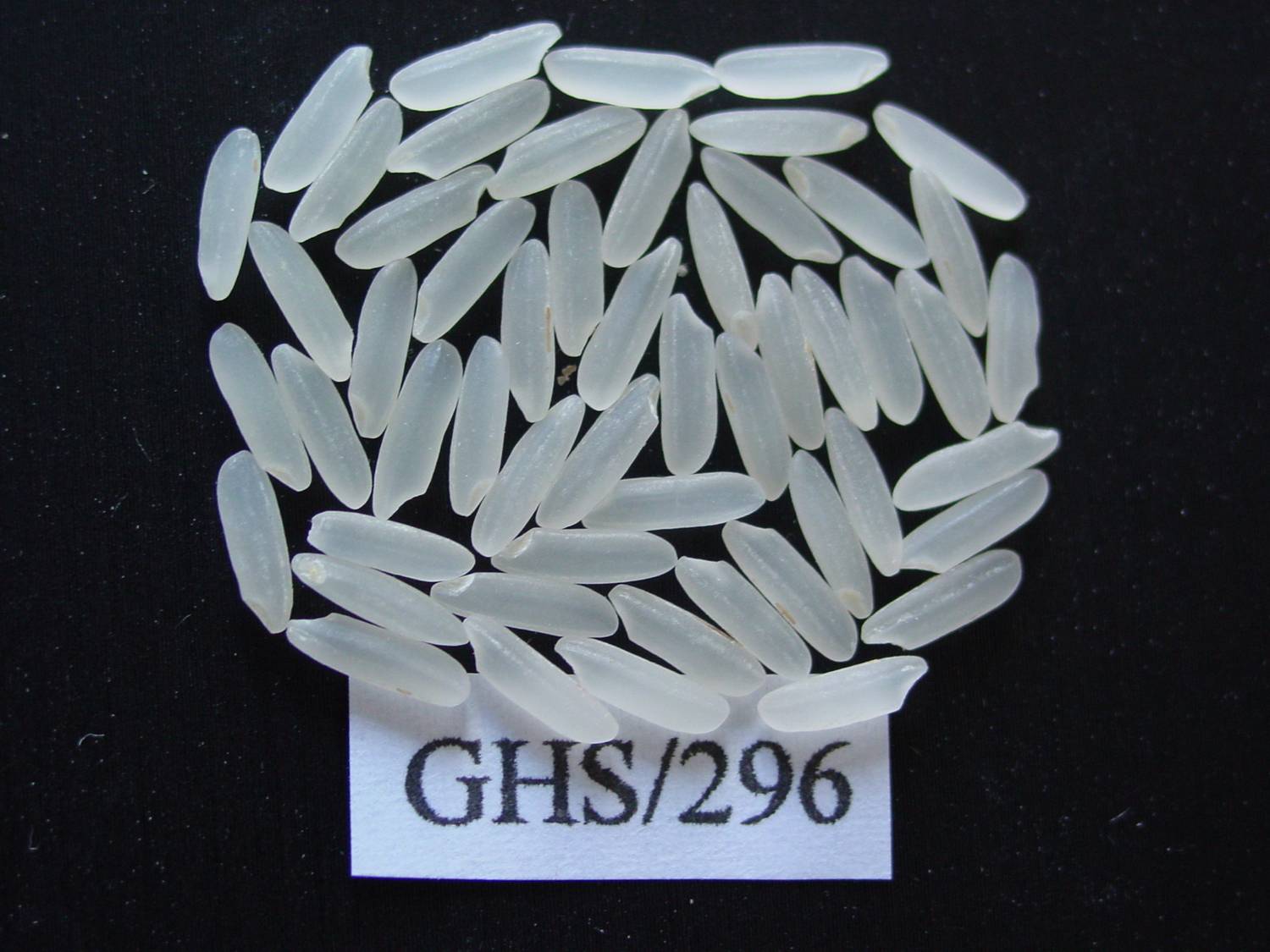 “GHS/296”米質可與高檔泰國米媲美