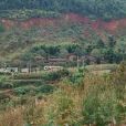大龍樹村(雲南昆明市祿勸縣屏山鎮下轄村)