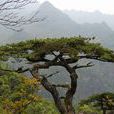 大平山 大平山