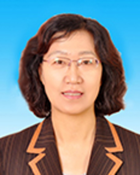 王桂琴(內蒙古自治區派駐國有企業監事會主席)