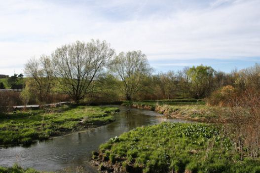 Penn State校園的濕地保護區