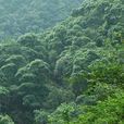 石峽鄉
