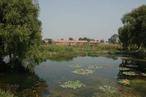 崔家疃村(平度市長樂鎮下轄村) 崔家疃村(平度市長樂鎮下轄村)