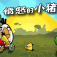 憤怒的小豬(flash版小遊戲) 憤怒的小豬(flash版小遊戲)