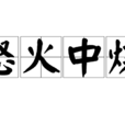 怒火中燒 怒火中燒