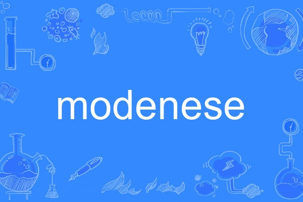 modenese modenese