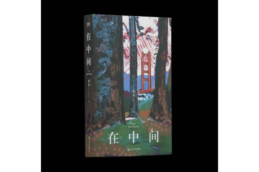 在中間(2024年上海文藝出版社出版的圖書)