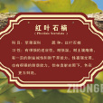 樹銘牌 樹銘牌