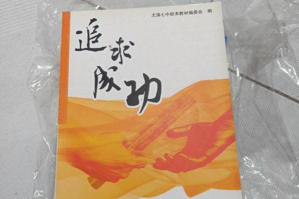追求成功