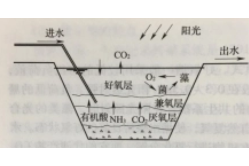 兼氧塘 兼氧塘