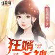 狂婿殺神 狂婿殺神