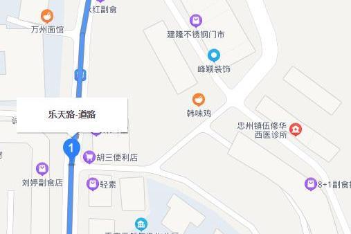 樂天路(中國重慶市忠縣忠州街道境內城市道路)