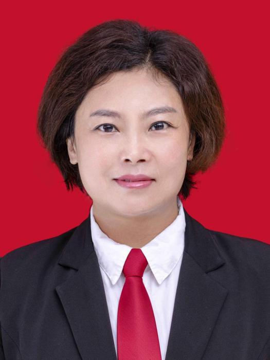 劉嵐(四川省眉山市東坡區四級調研員) 劉嵐(四川省眉山市東坡區四級調研員)