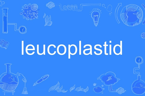 leucoplastid leucoplastid