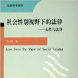 社會性別視野下的法律：女性與法律(社會性別視野下的法律)
