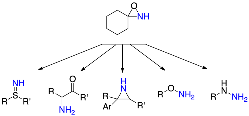 氧氮環丙烷