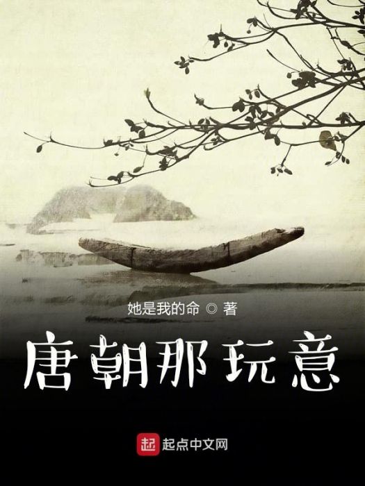 唐朝那玩意 唐朝那玩意