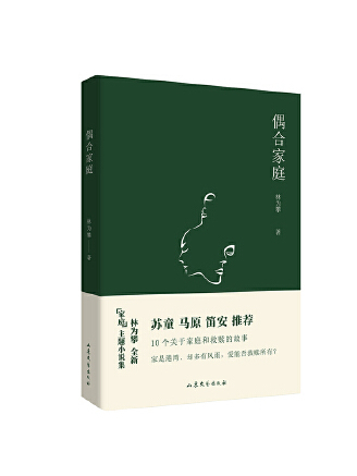 偶合家庭(2023年山東文藝出版社出版的圖書) 偶合家庭(2023年山東文藝出版社出版的圖書)