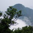歷山風景區 歷山風景區