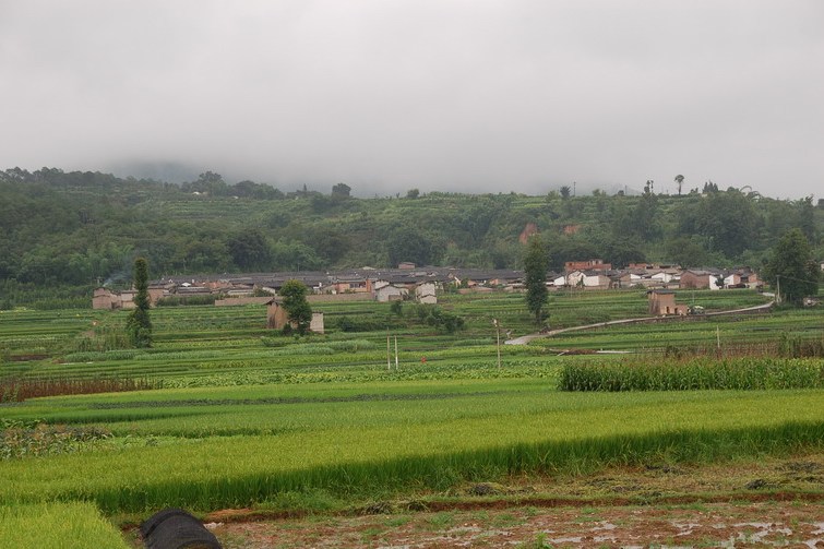 張老村(雲南省玉溪市通海縣高大傣族彝族鄉下轄村) 張老村(雲南省玉溪市通海縣高大傣族彝族鄉下轄村)
