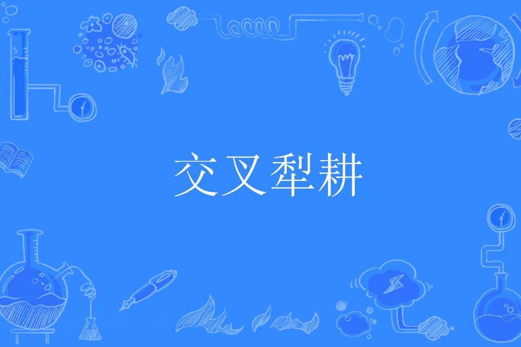 交叉犁耕 交叉犁耕