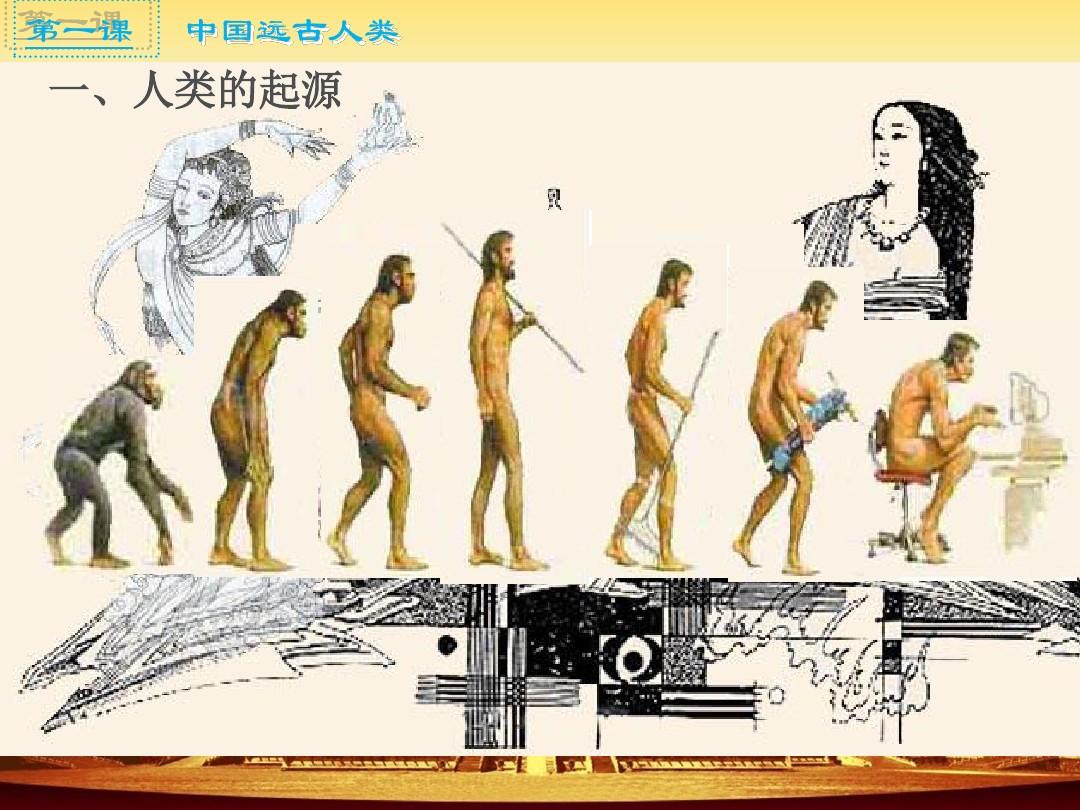 人类进化过程图-图库-五毛网