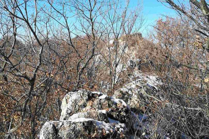 大荒山(長白山系吉林哈達嶺下的山脈) 大荒山(長白山系吉林哈達嶺下的山脈)