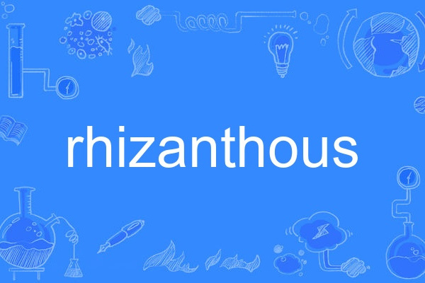 rhizanthous rhizanthous
