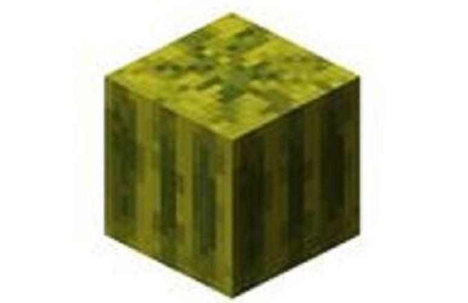 西瓜(Minecraft中的一種物品)