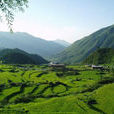 武夷山鎮 武夷山鎮